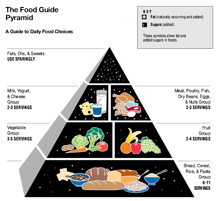 food pyramid